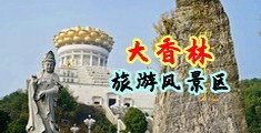 大鸡扒视频免费中国浙江-绍兴大香林旅游风景区